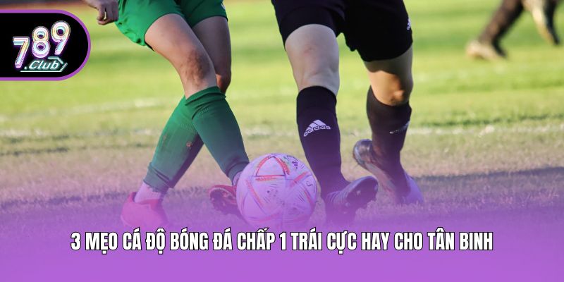 3 Mẹo Cá Độ Bóng Đá Chấp 1 Trái Cực Hay Cho Tân Binh