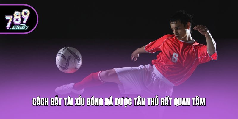 Cách bắt tài xỉu bóng đá được tân thủ rất quan tâm