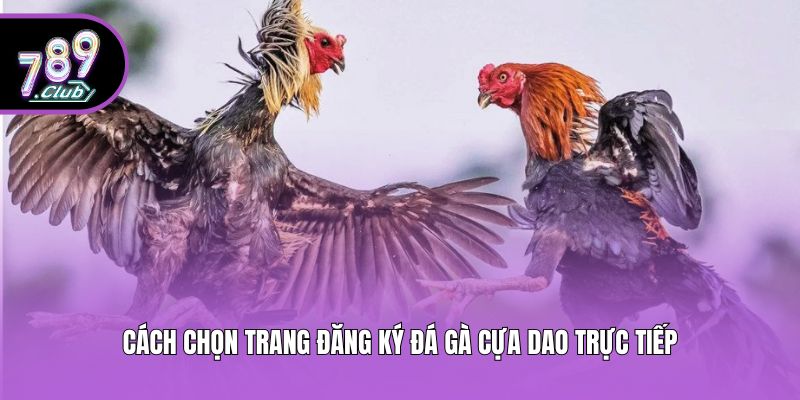 Cách chọn trang đăng ký đá gà cựa dao trực tiếp