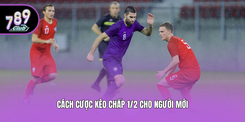 Cách cược kèo chấp 1/2 cho người mới