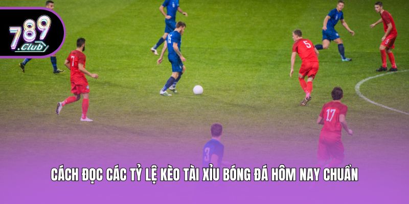 Cách đọc các tỷ lệ Kèo Tài Xỉu bóng đá hôm nay chuẩn
