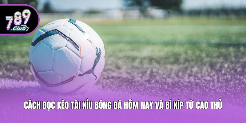 Cách Đọc Kèo Tài Xỉu Bóng Đá Hôm Nay Và Bí Kíp Từ Cao Thủ