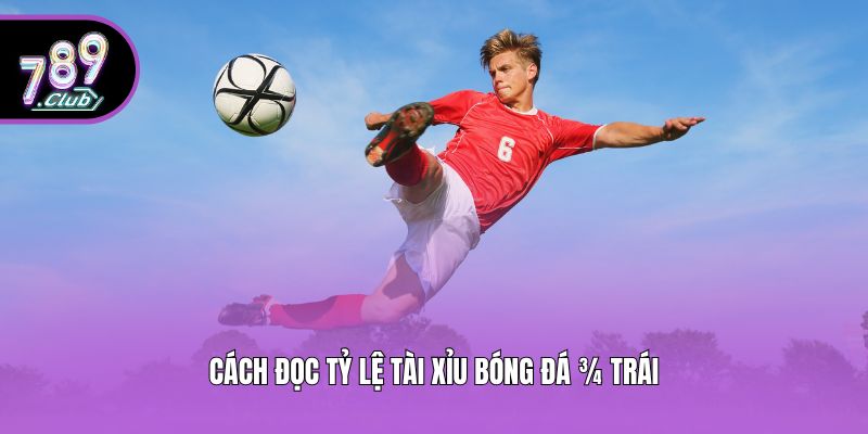 Cách đọc tỷ lệ tài xỉu bóng đá ¾ trái
