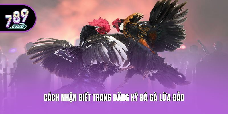 Cách nhận biết trang đăng ký đá gà lừa đảo