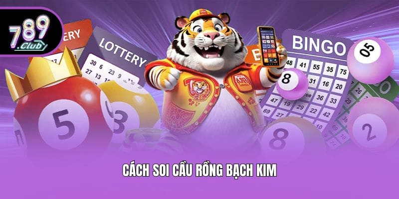 Cách soi cầu Rồng Bạch Kim
