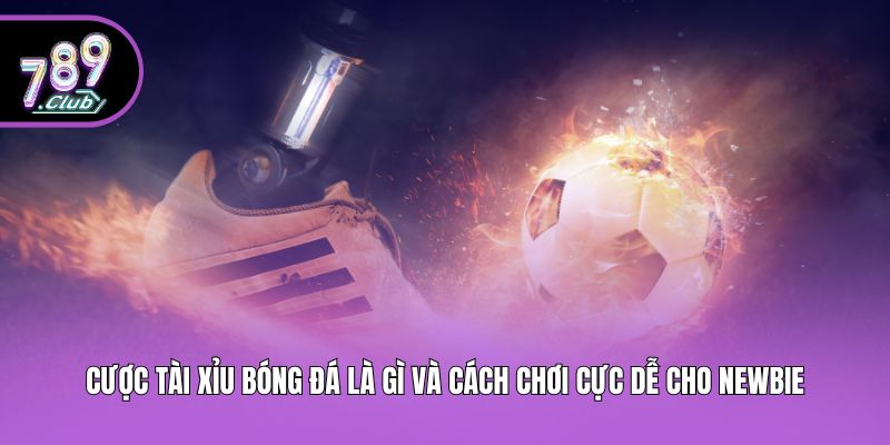 Cược Tài Xỉu Bóng Đá Là Gì Và Cách Chơi Cực Dễ Cho Newbie
