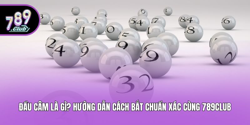 Đầu Câm Là Gì? Hướng Dẫn Cách Bắt chuẩn Xác Cùng 789club