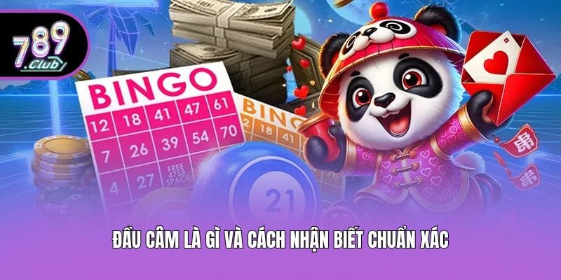 Đầu câm là gì và cách nhận biết chuẩn xác