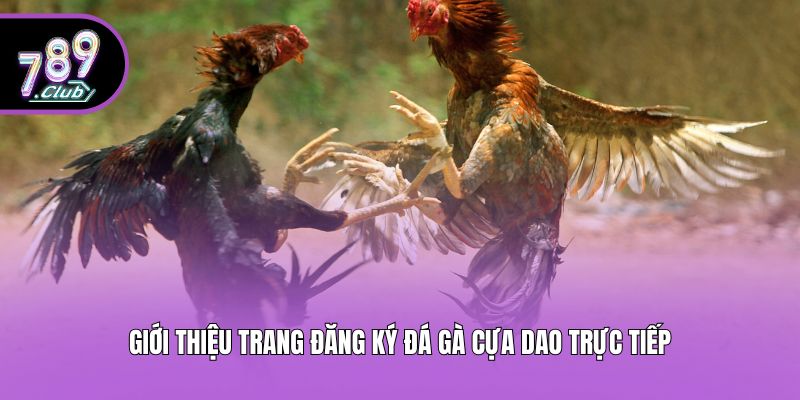Giới thiệu trang đăng ký đá gà cựa dao trực tiếp