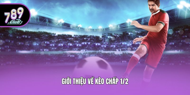 Giới thiệu về kèo chấp 1/2