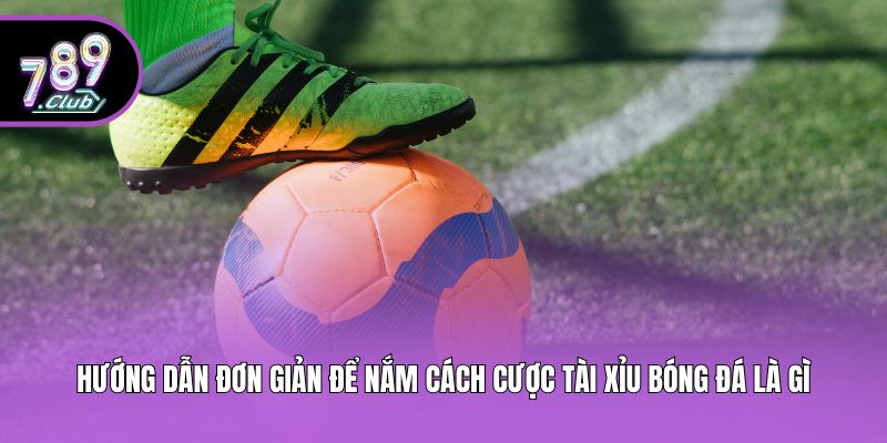 Hướng dẫn đơn giản để nắm cách cược tài xỉu bóng đá là gì