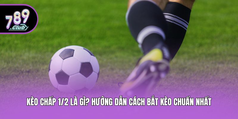 Kèo Chấp 1/2 Là Gì? Hướng Dẫn Cách Bắt Kèo Chuẩn Nhất