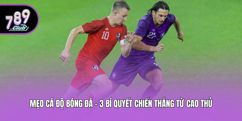 Mẹo Cá Độ Bóng Đá - 3 Bí Quyết Chiến Thắng Từ Cao Thủ