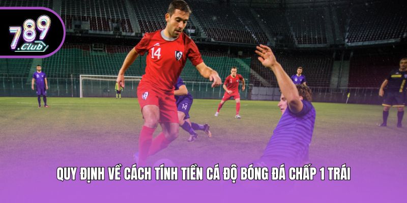 Quy định về cách tính tiền cá độ bóng đá chấp 1 trái