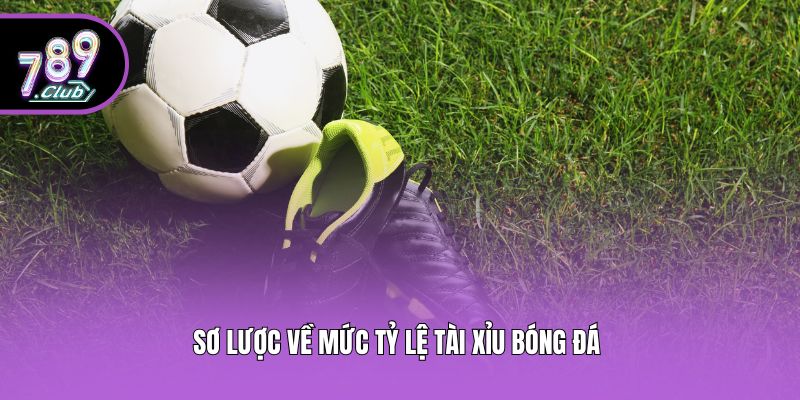 Sơ lược về mức tỷ lệ tài xỉu bóng đá 