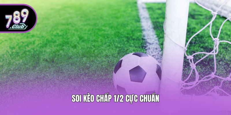 Soi kèo chấp 1/2 cực chuẩn