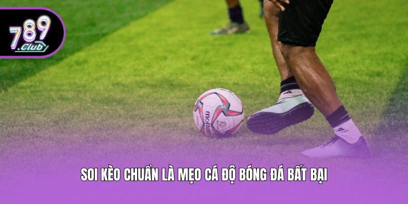 Soi kèo chuẩn là mẹo cá độ bóng đá bất bại
