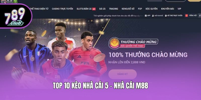 Top 10 kèo nhà cái 5 - Nhà cái M88