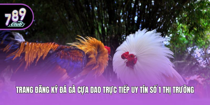 Trang Đăng Ký Đá Gà Cựa Dao Trực Tiếp Uy Tín Số 1 Thị Trường