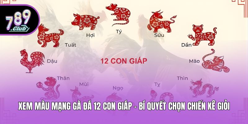 Xem Màu Mạng Gà Đá 12 Con Giáp - Bí Quyết Chọn Chiến Kê Giỏi