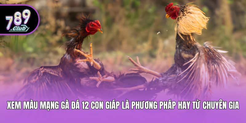 Xem màu mạng gà đá 12 con giáp là phương pháp hay từ chuyên gia
