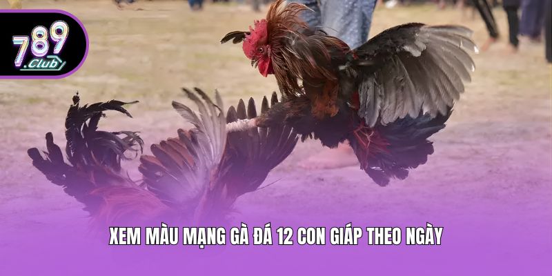 Xem màu mạng gà đá 12 con giáp theo ngày