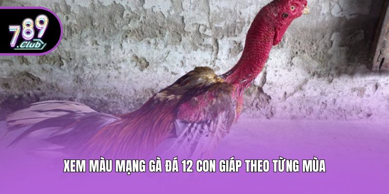 Xem màu mạng gà đá 12 con giáp theo từng mùa